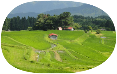 東鉢はこんなところ イメージ