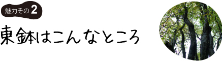 東鉢はこんなところ