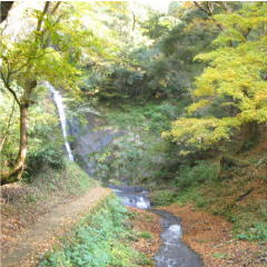 「秋」は紅葉の山景色。